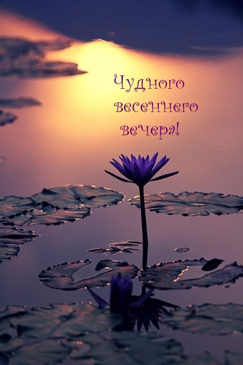 Чудного весеннего вечера!