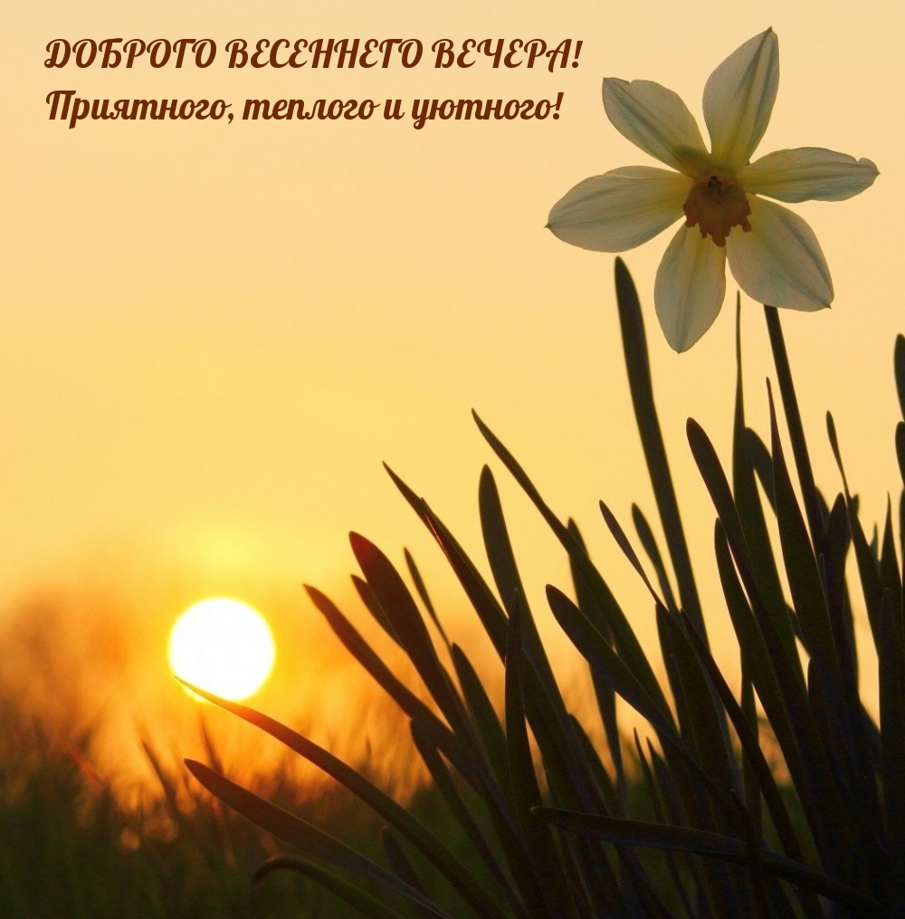 Доброго весеннего вечера! Приятного, теплого и уютного!