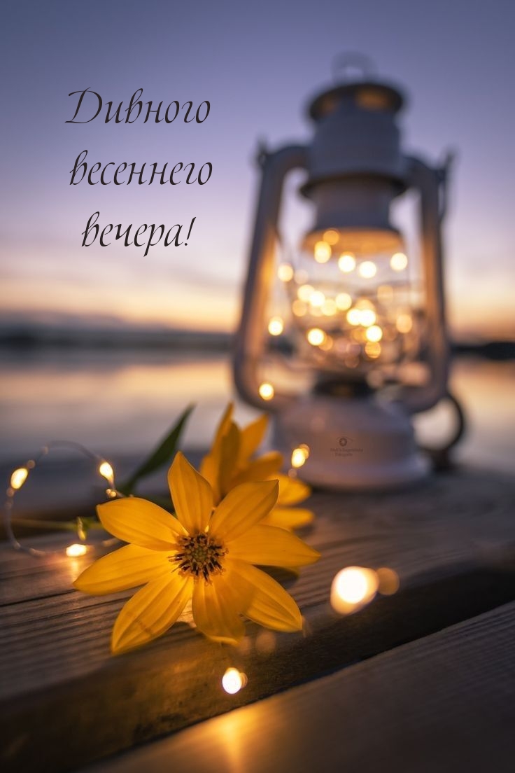 Дивного весеннего вечера!