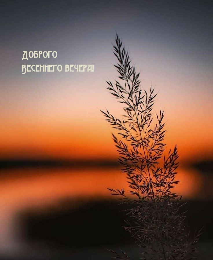 Доброго Весеннего вечера!