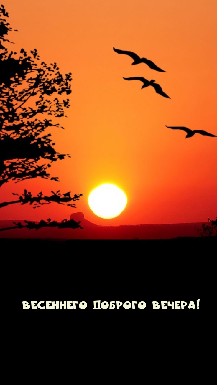 Весеннего доброго вечера!
