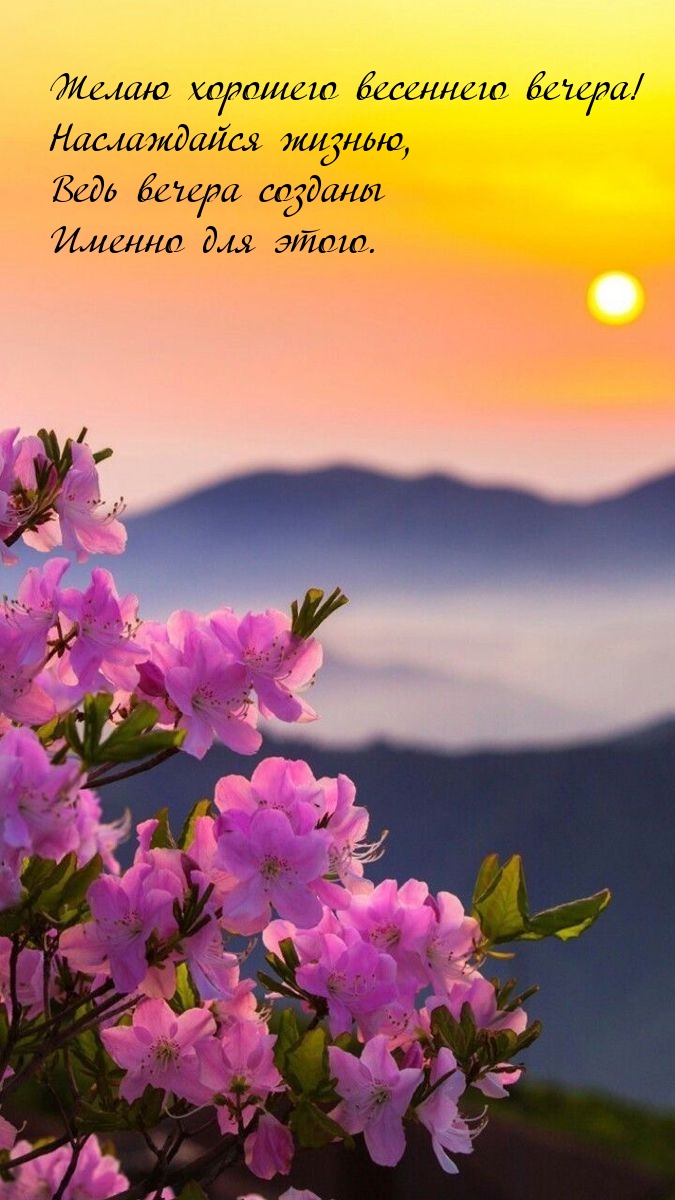 Желаю хорошего весеннего вечера! Наслаждайся жизнью