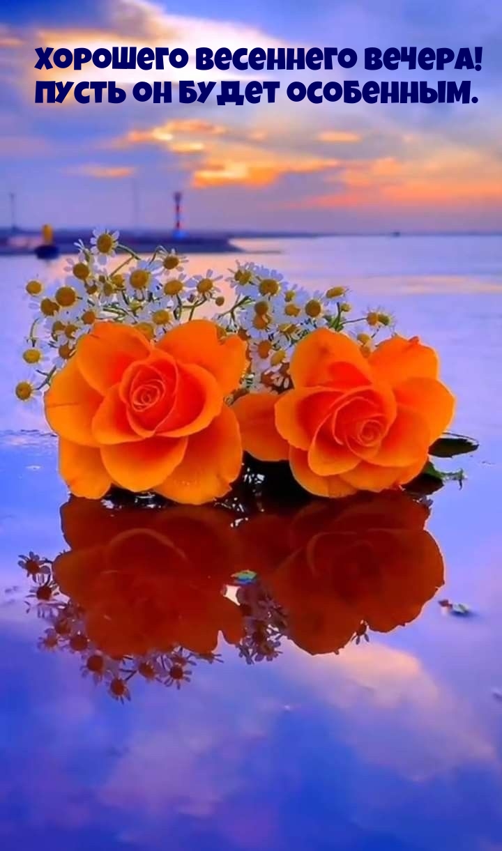 Хорошего весеннего вечера! Пусть он будет особенным.