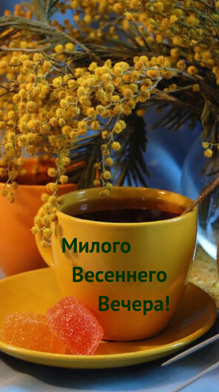 Милого Весеннего Вечера!