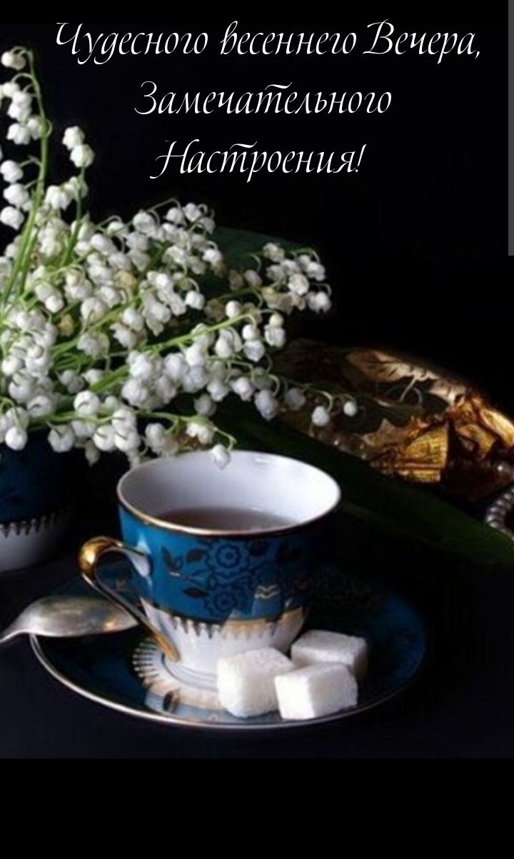 Чудесного весеннего Вечера, Замечательного Настроения!
