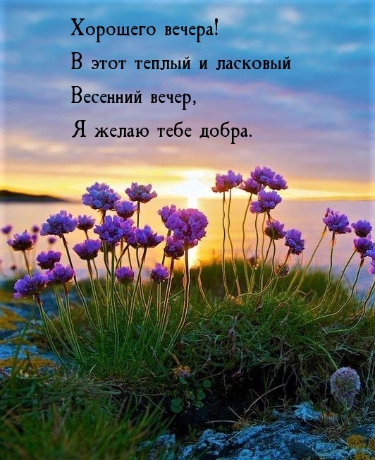 В этот теплый и ласковый весенний вечер, я желаю тебе добра.