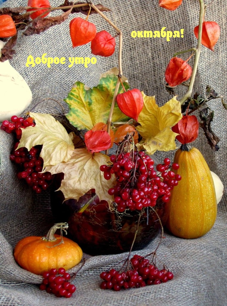 Доброе утро октября!
