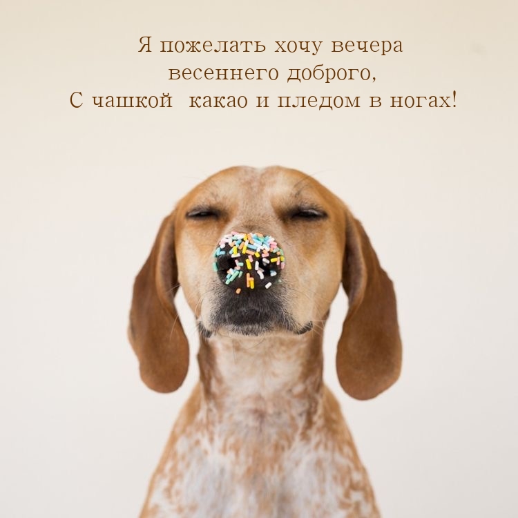 Я пожелать хочу вечера весеннего доброго