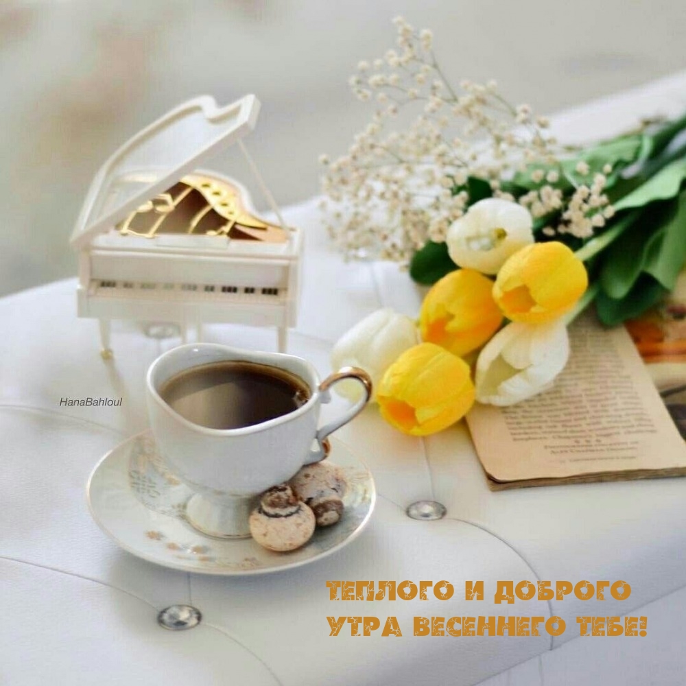 Теплого и доброго утра весеннего тебе!