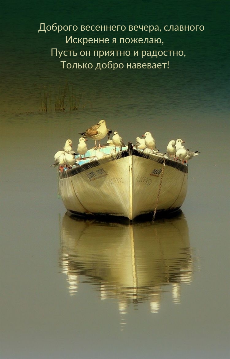 Доброго весеннего вечера, славного искренне я пожелаю