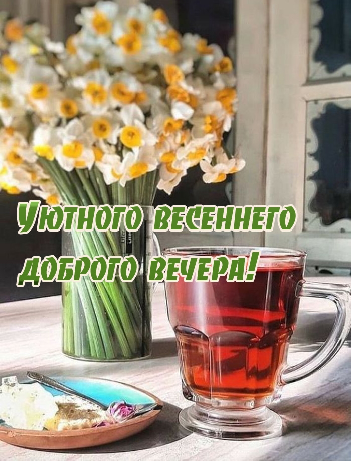 Уютного весеннего доброго вечера!