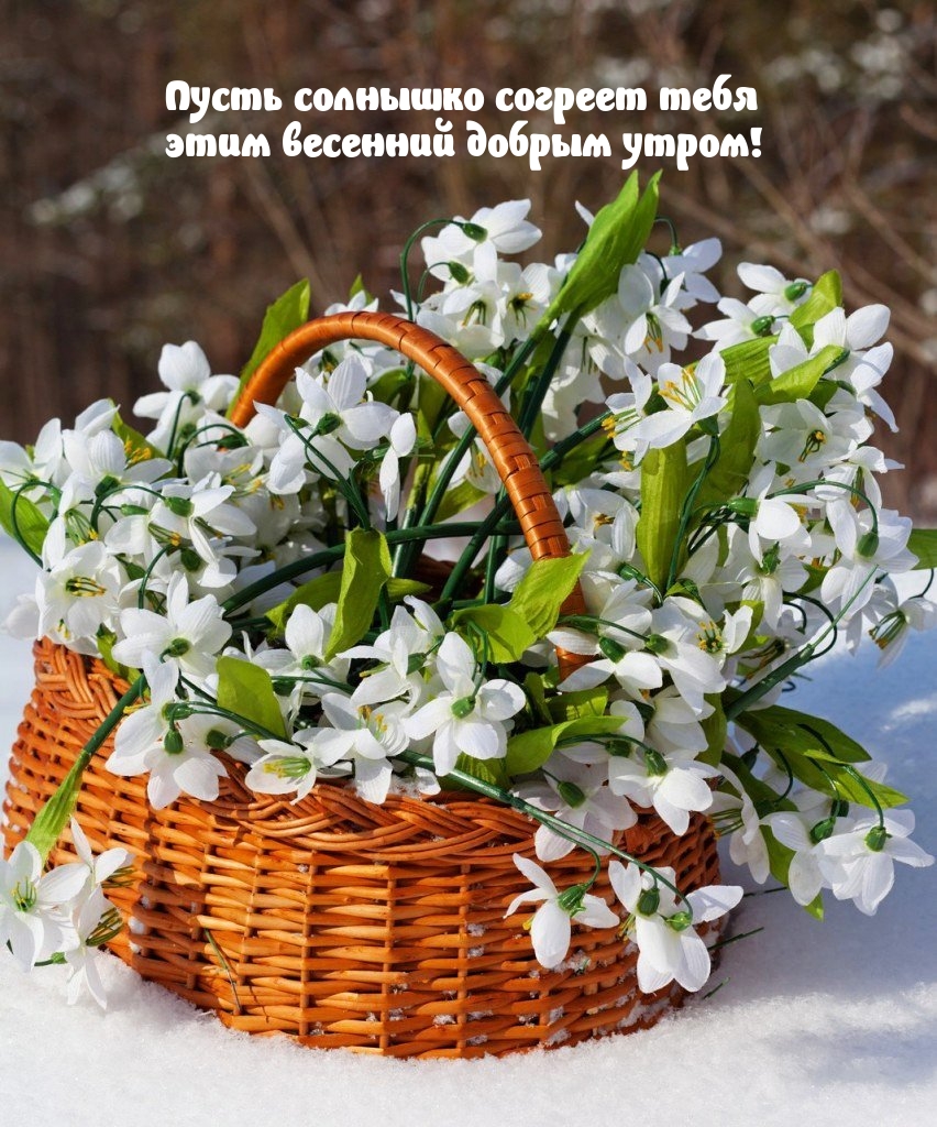 Пусть солнышко согреет тебя этим весенний добрым утром!