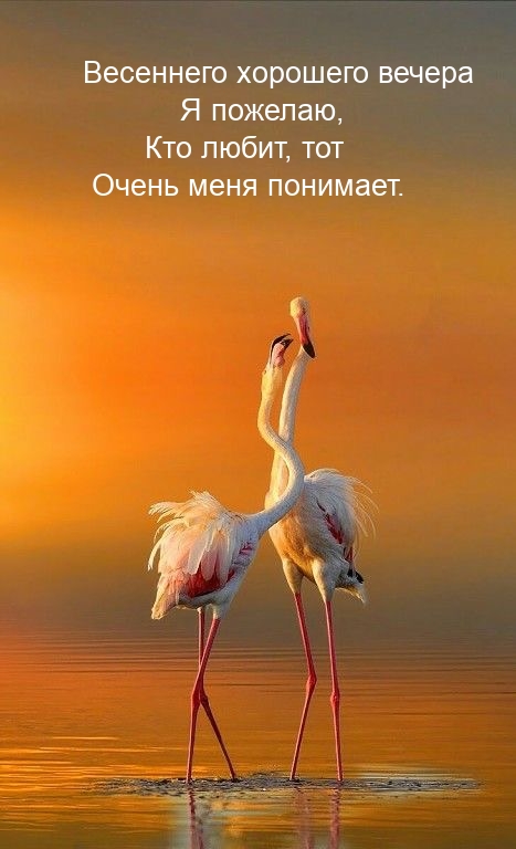 Весеннего хорошего вечера я пожелаю, кто любит, тот меня понимает.