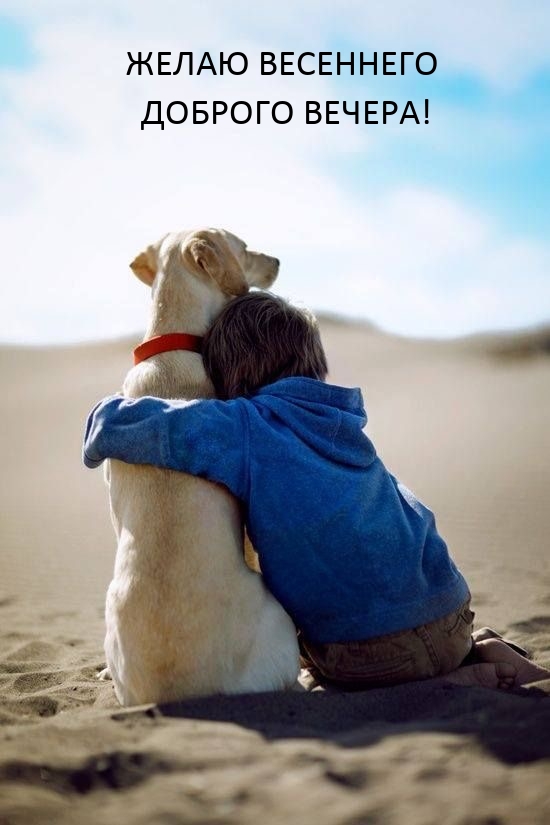 Желаю весеннего доброго вечера!