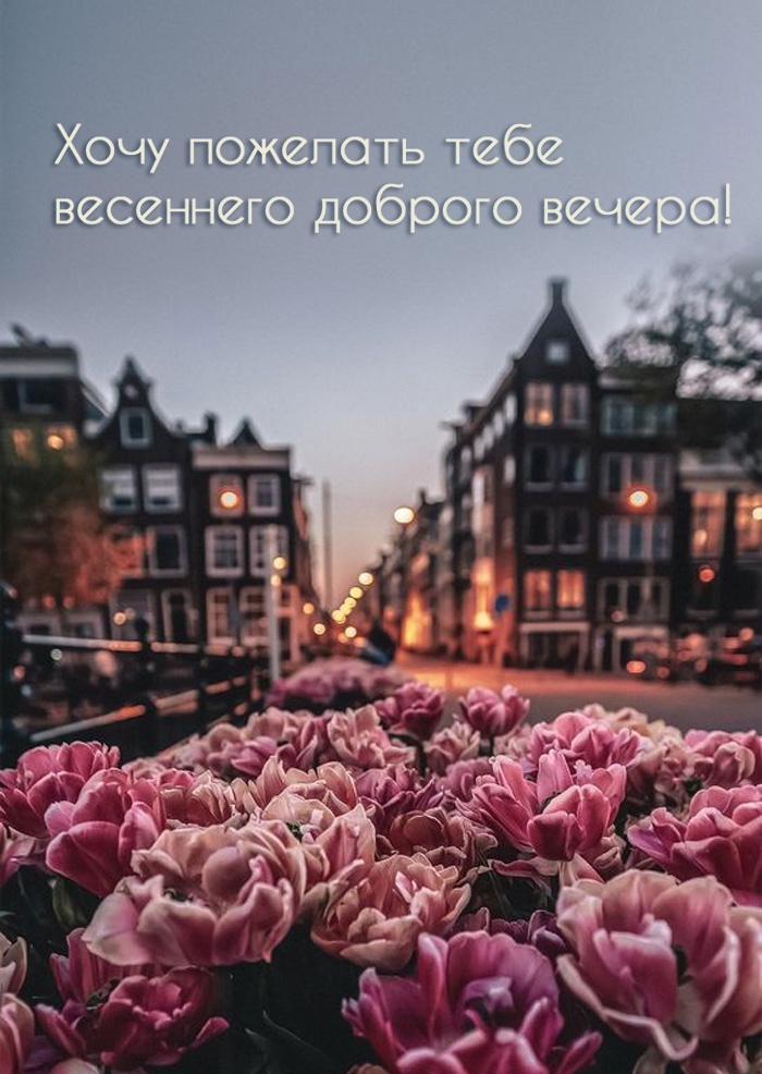 Хочу пожелать тебе весеннего доброго вечера!