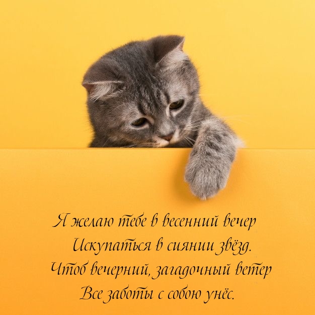 Чтоб вечерний, загадочный ветер все заботы с собою унёс.