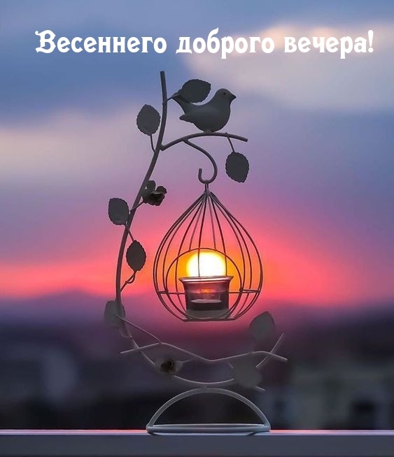 Весеннего доброго вечера!