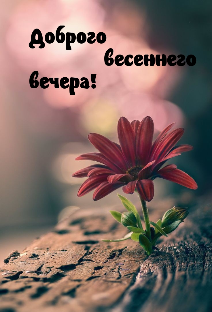 Доброго весеннего вечера! 