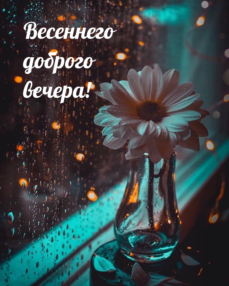 Весеннего доброго вечера!