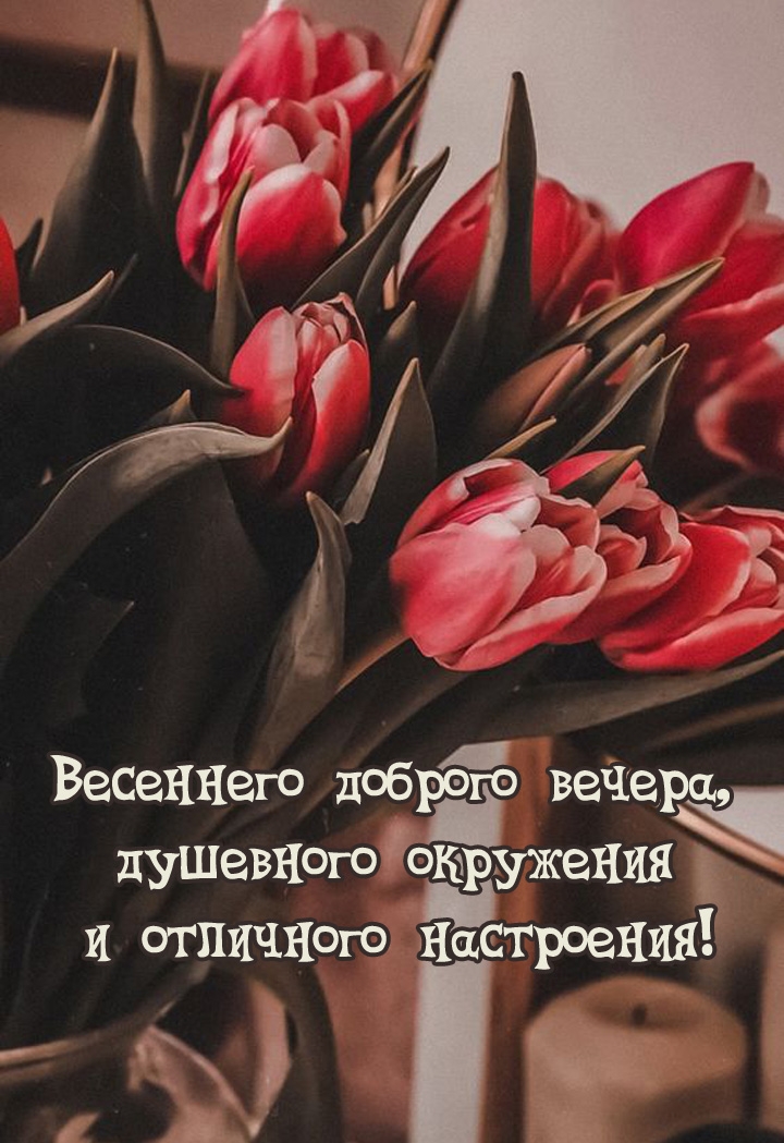 Весеннего доброго вечера, душевного окружения