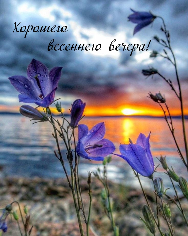 Хорошего весеннего вечера!