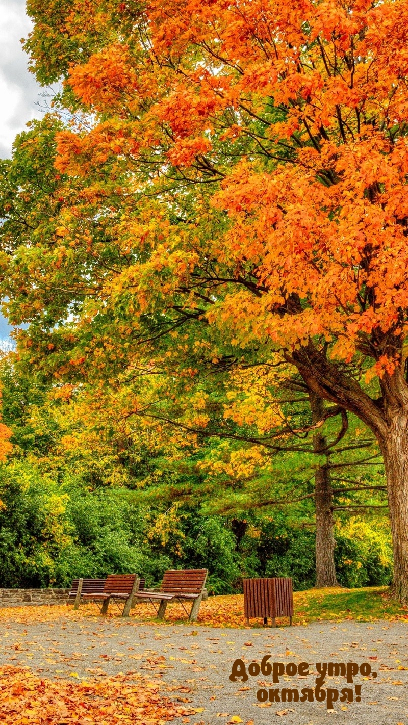 Доброе утро, октября!