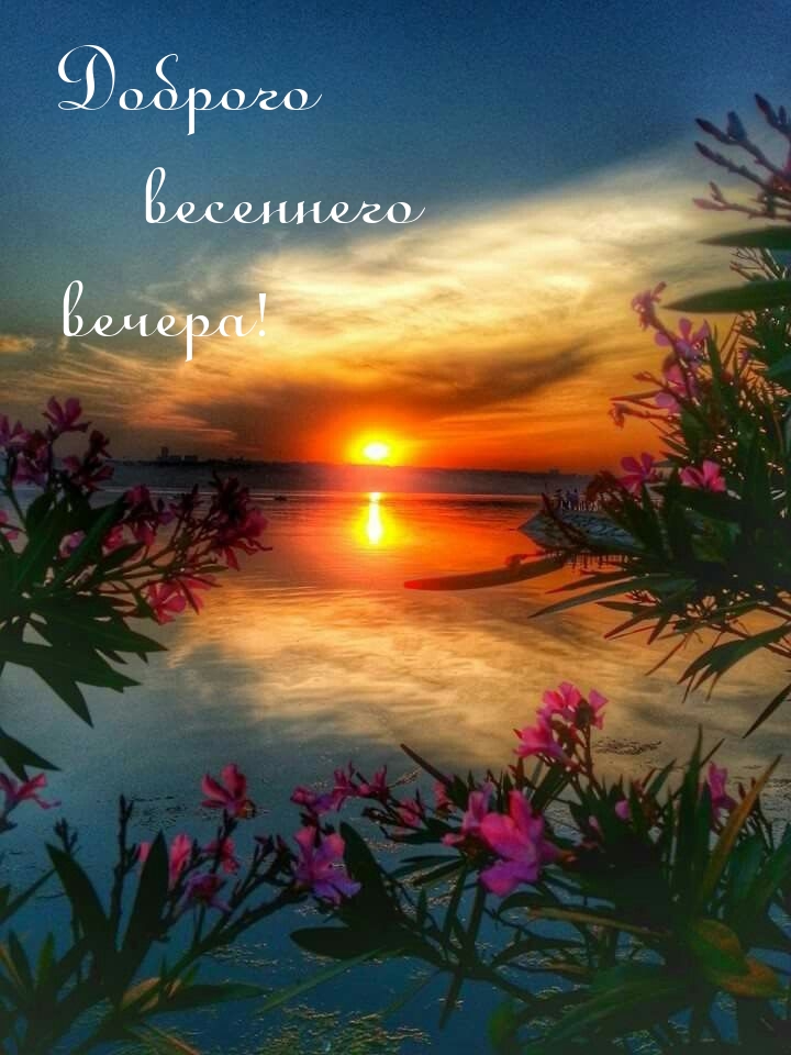 Доброго весеннего вечера!