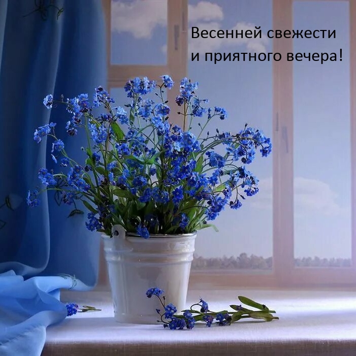 Весенней свежести и приятного вечера!
