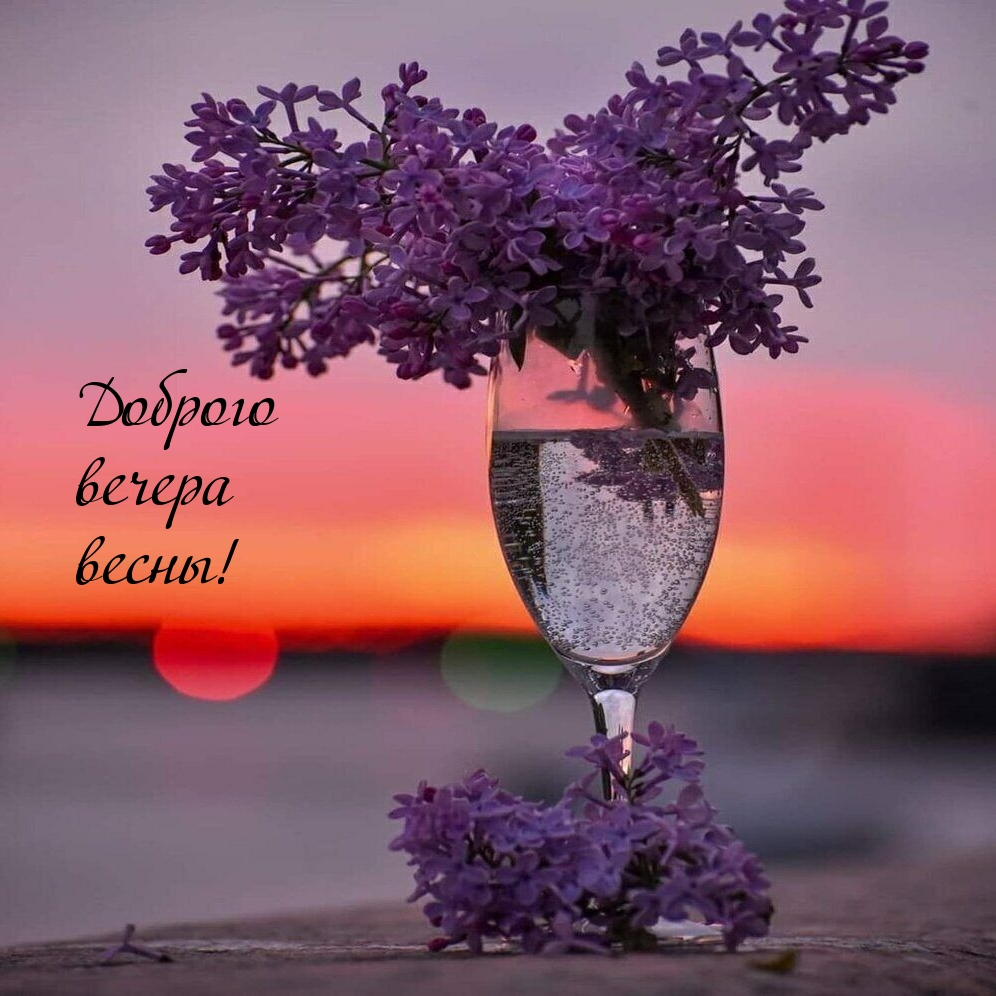 Доброго вечера весны!