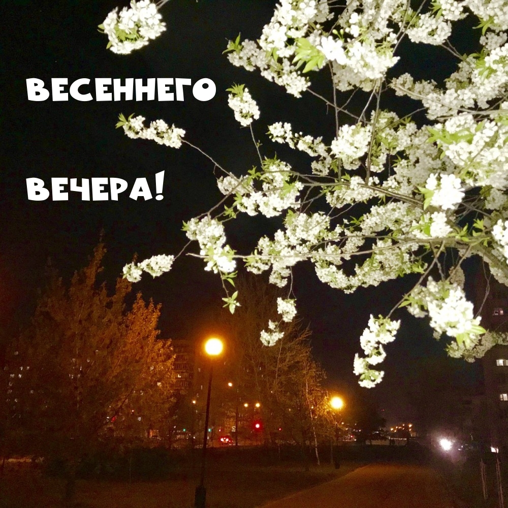 Весеннего вечера!