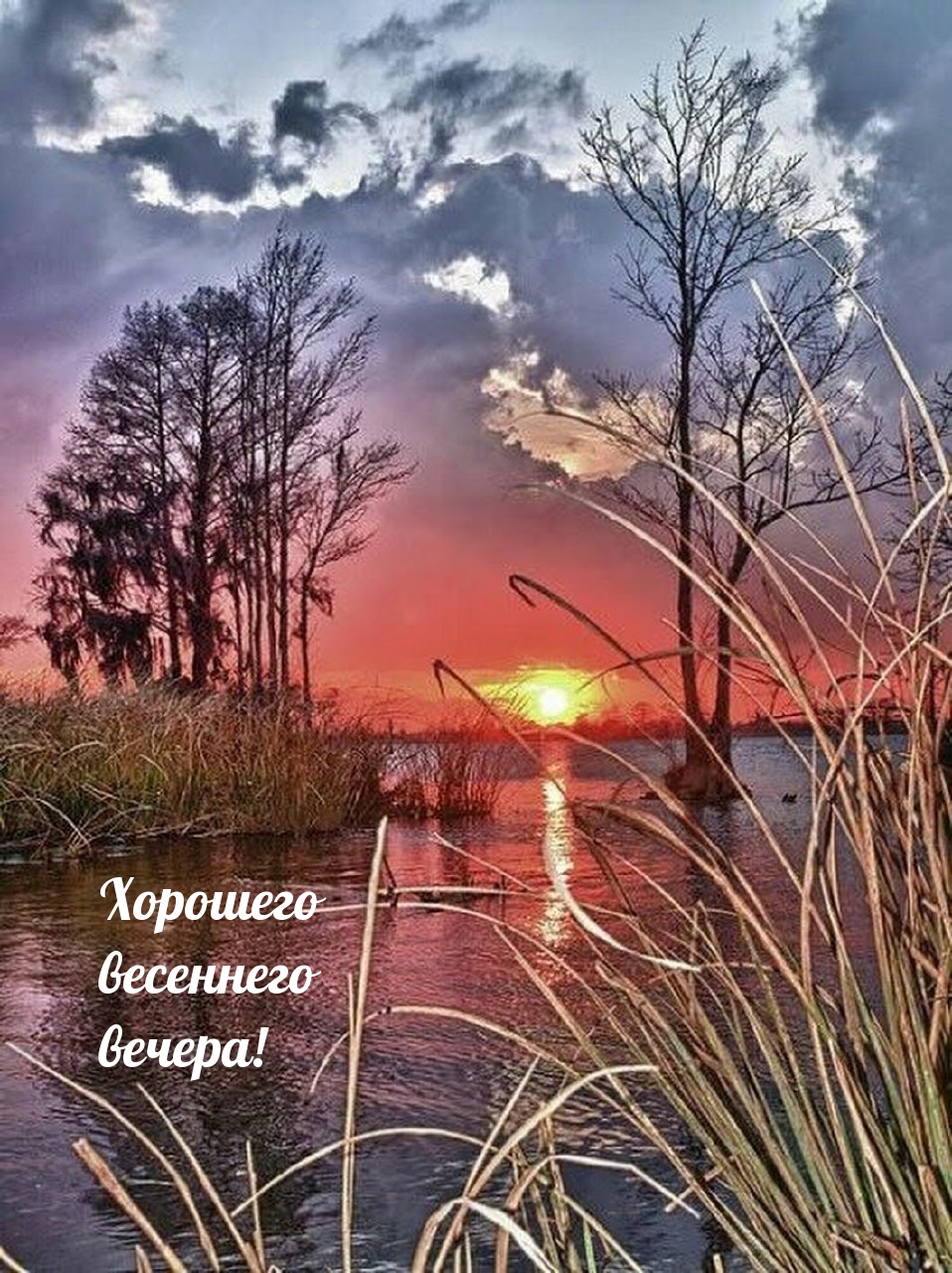 Хорошего весеннего вечера!