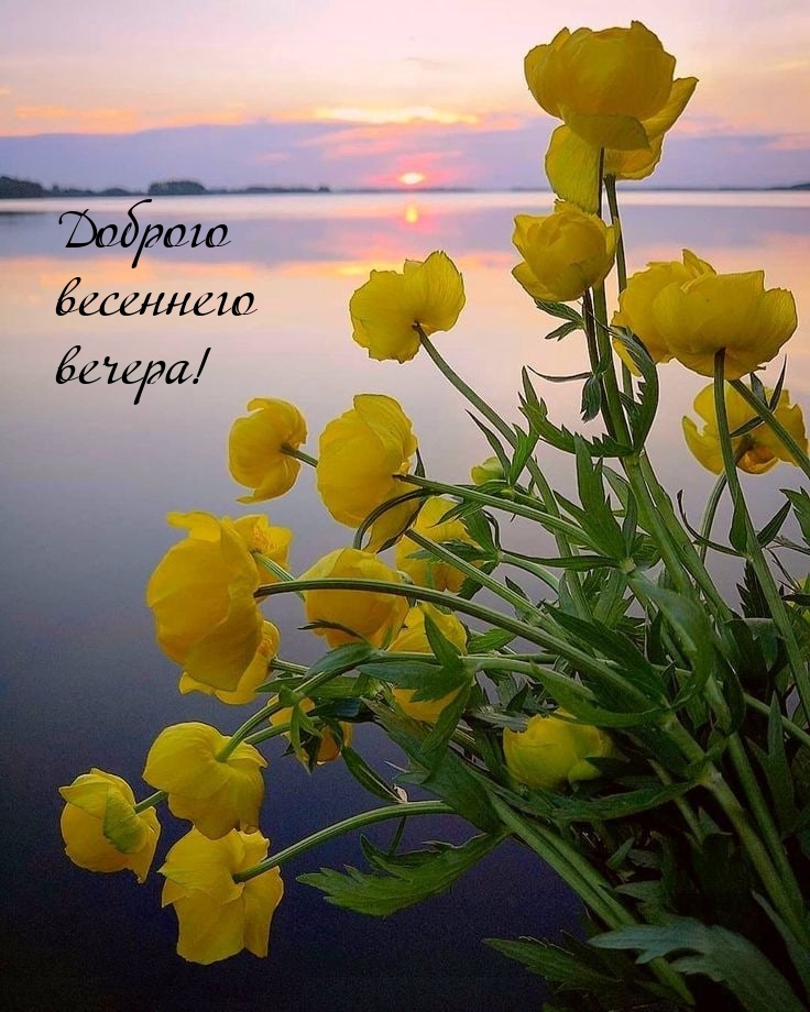 Доброго весеннего вечера!