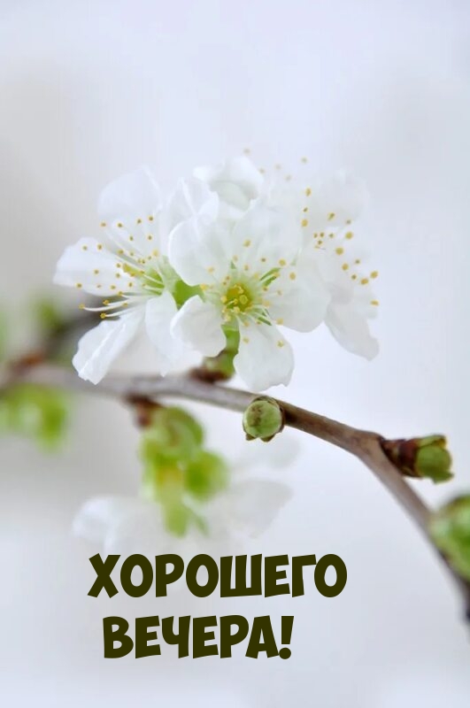 Хорошего вечера!
