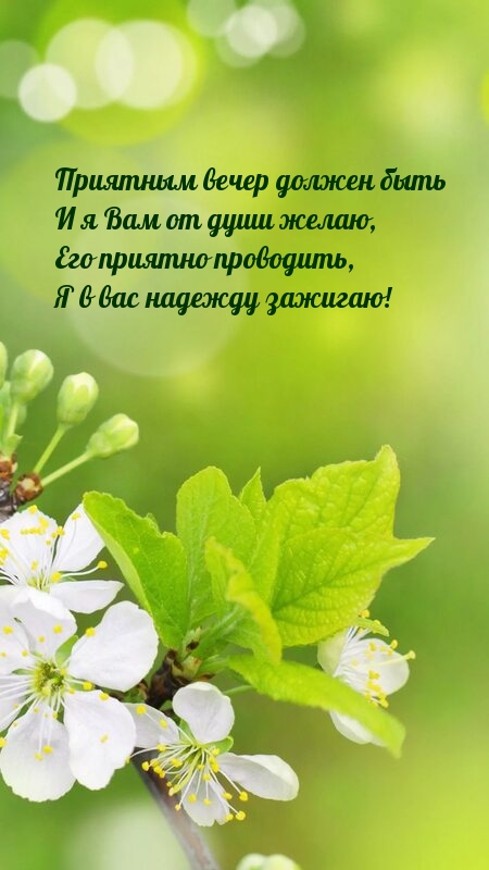 Приятным вечер должен быть и я Вам от души желаю