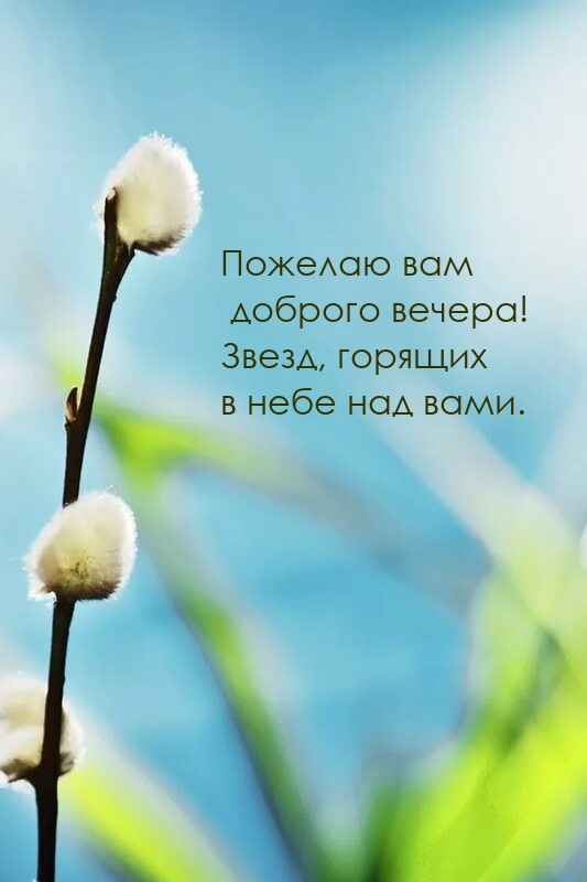 Пожелаю вам доброго вечера! Звезд, горящих в небе над вами.