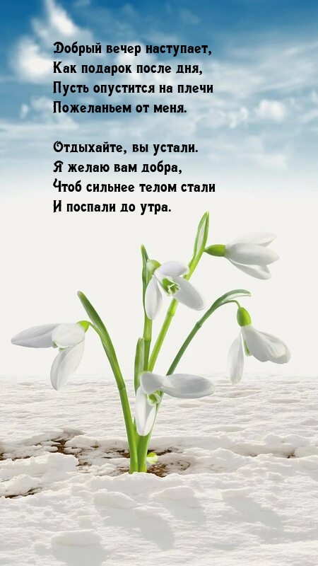 Добрый вечер наступает, как подарок после дня