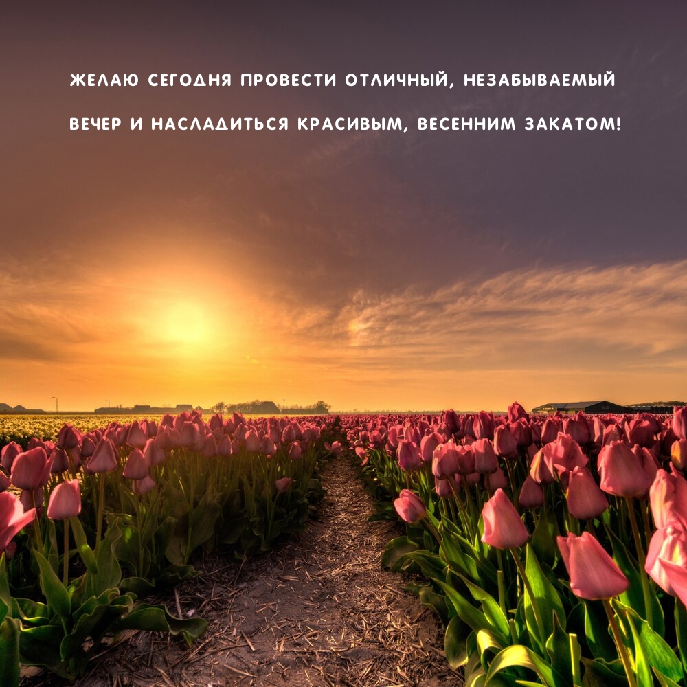 Желаю сегодня провести отличный, незабываемый вечер