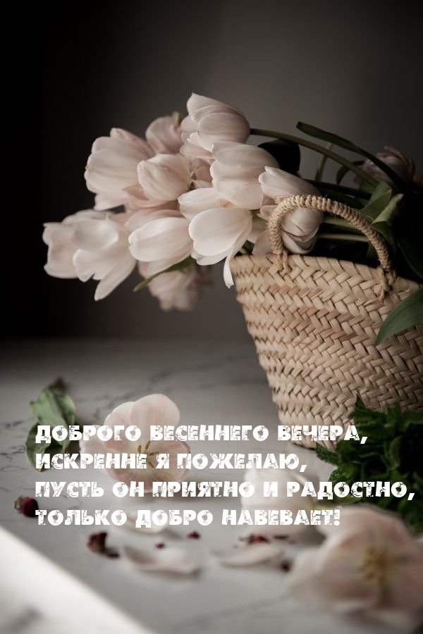 Доброго весеннего вечера, искренне я пожелаю