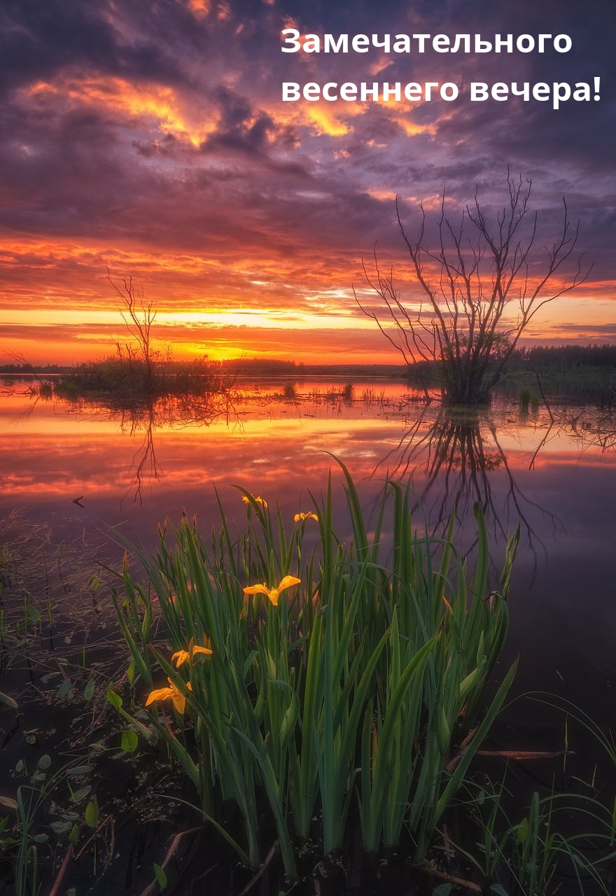 Замечательного весеннего вечера!