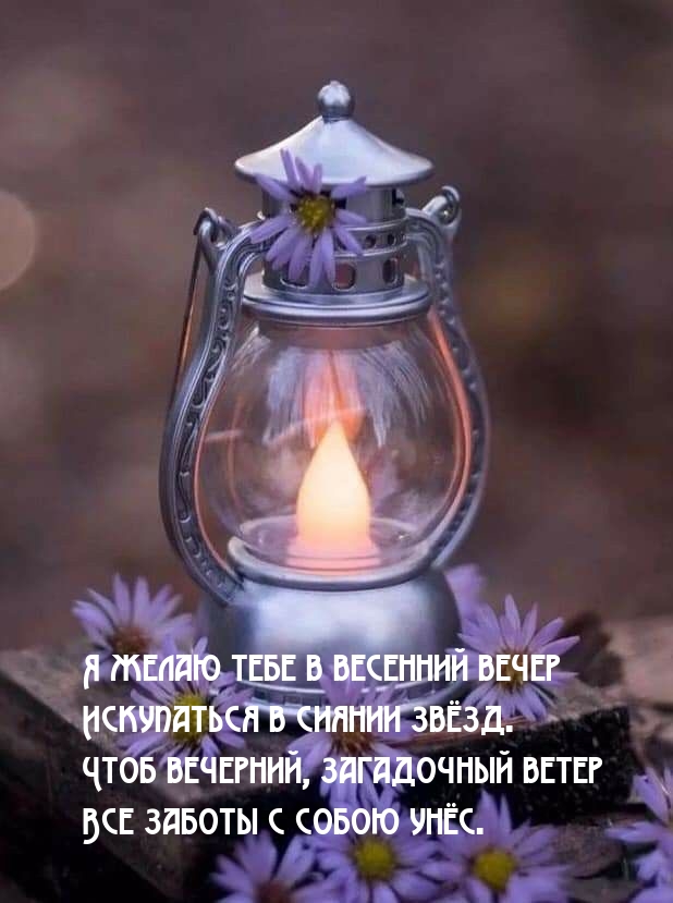 Я желаю тебе в весенний вечер искупаться в сиянии звёзд.