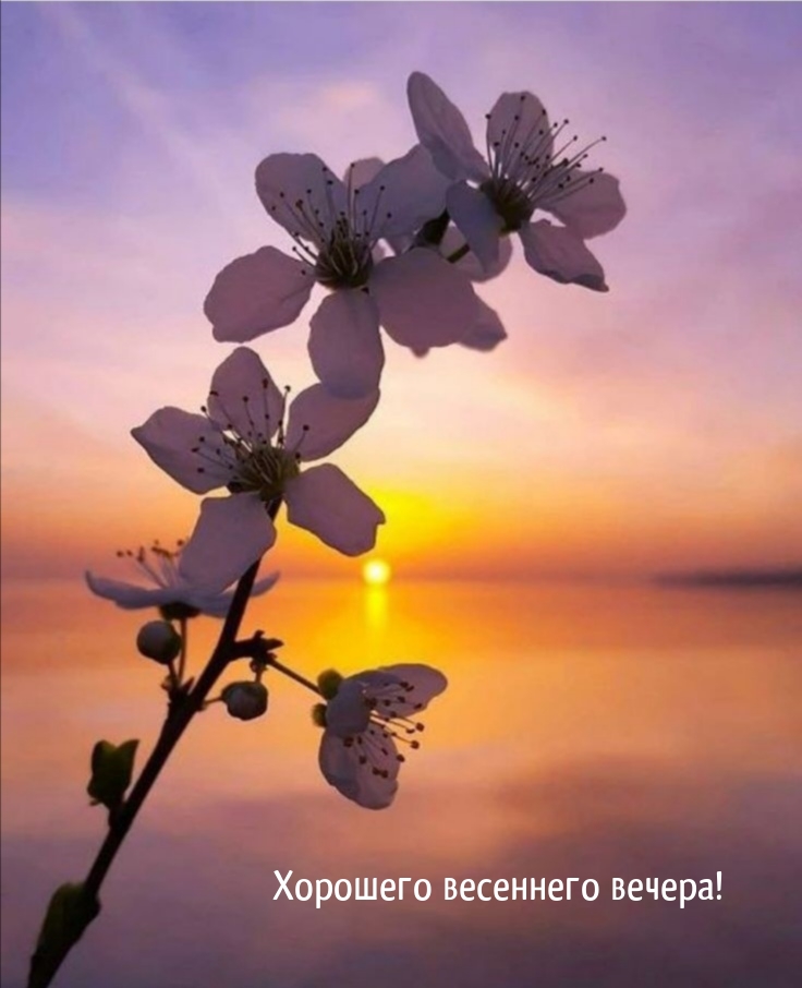Хорошего весеннего вечера!