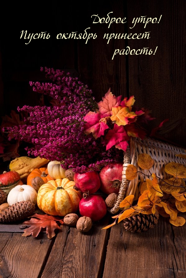 Доброе утро! Пусть октябрь принесет радость!
