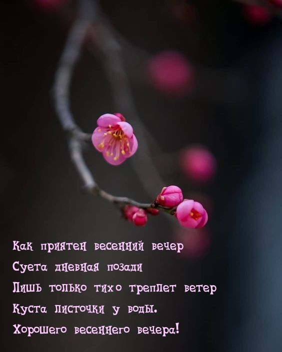 Как приятен весенний вечер суета дневная позади