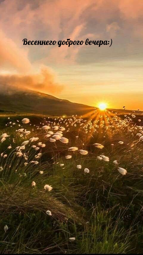 Весеннего доброго вечера:)
