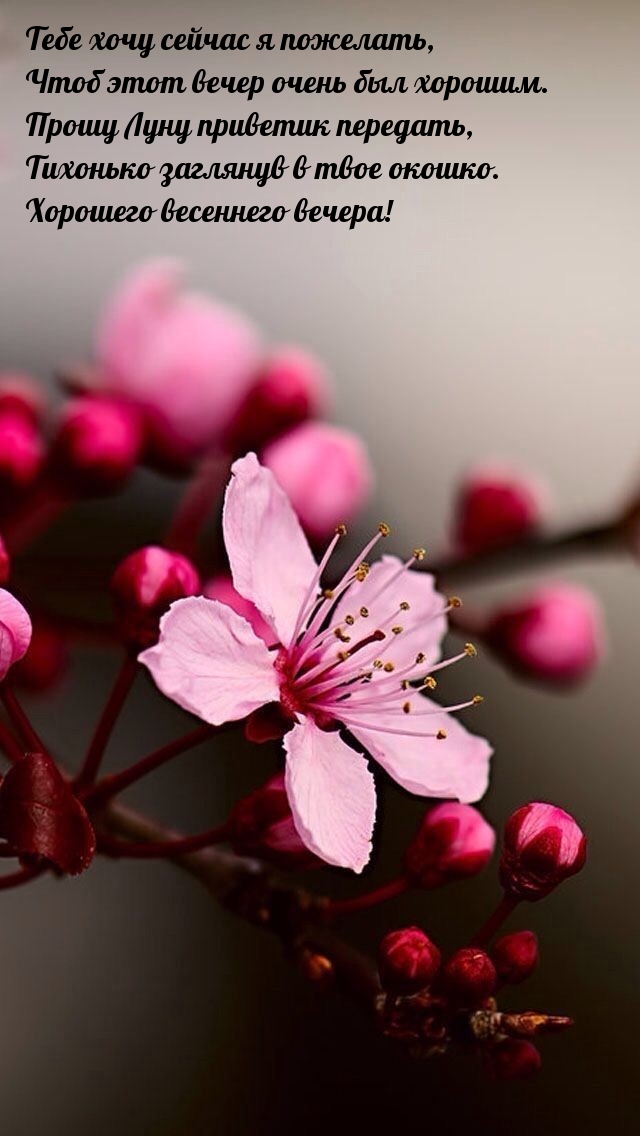 Тебе хочу сейчас я пожелать, чтоб этот вечер очень был хорошим.