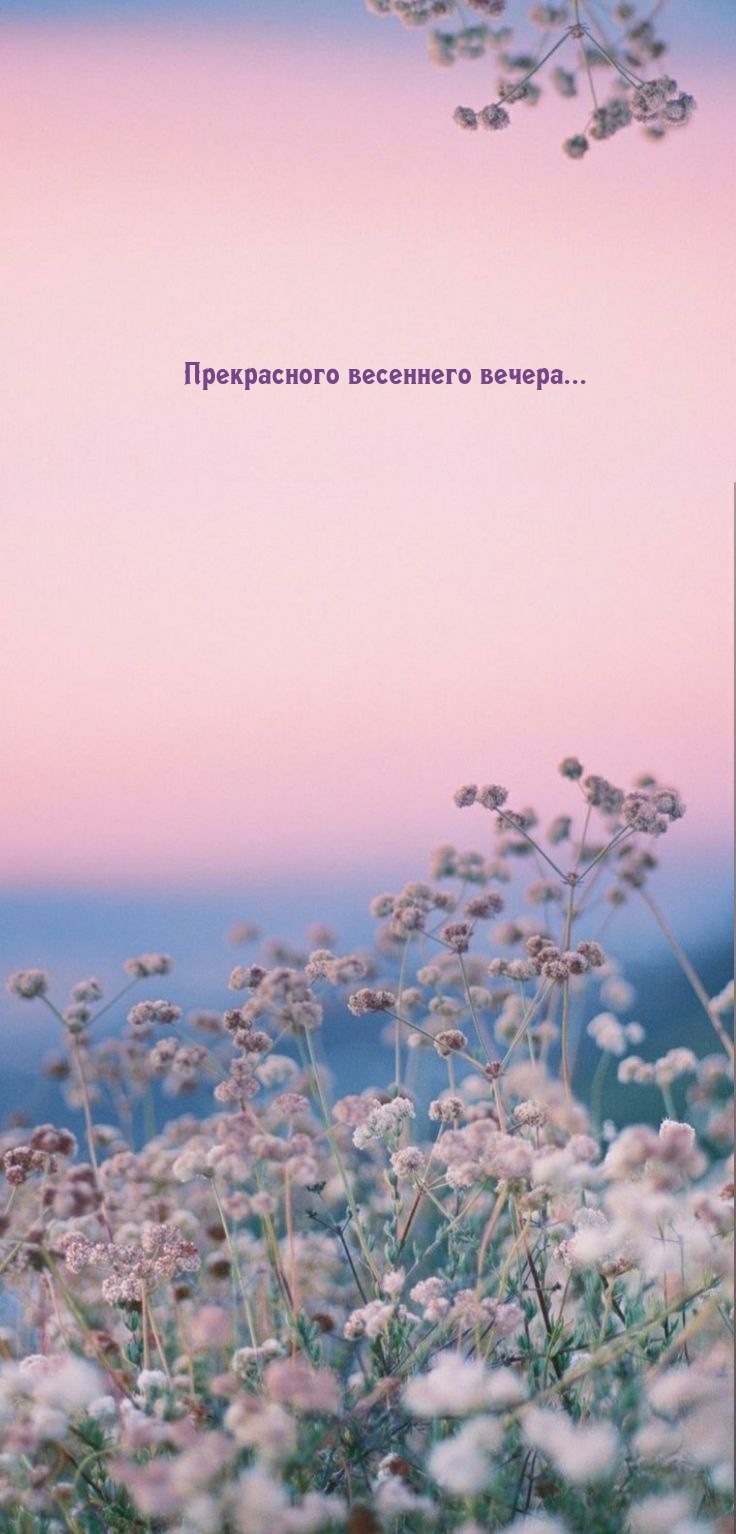 Прекрасного весеннего вечера...
