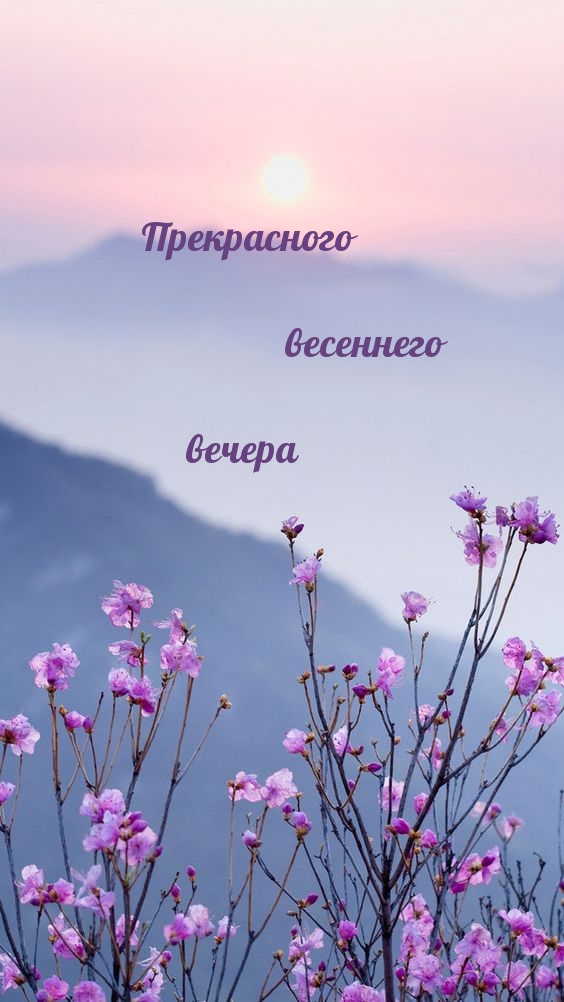 Прекрасного весеннего вечера
