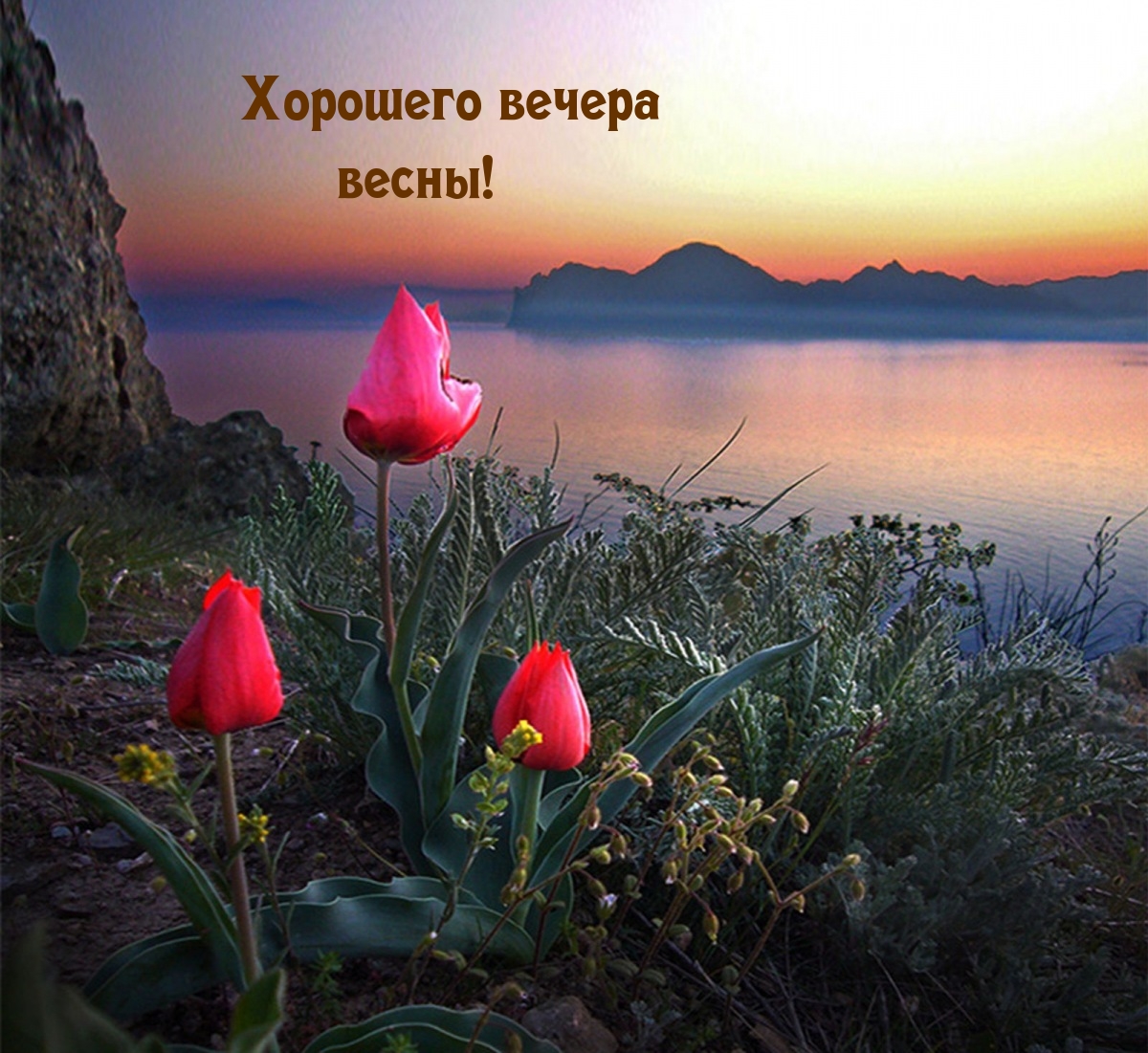 Хорошего вечера весны!