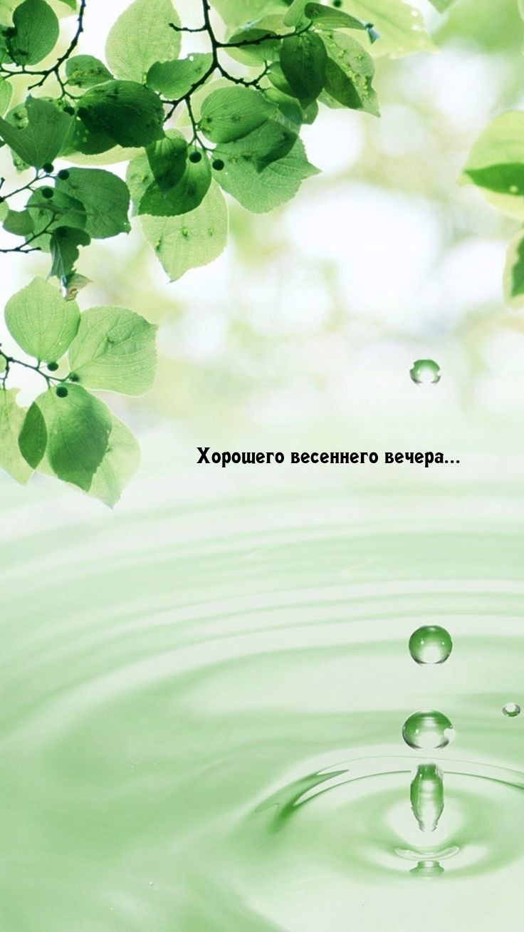 Хорошего весеннего вечера...