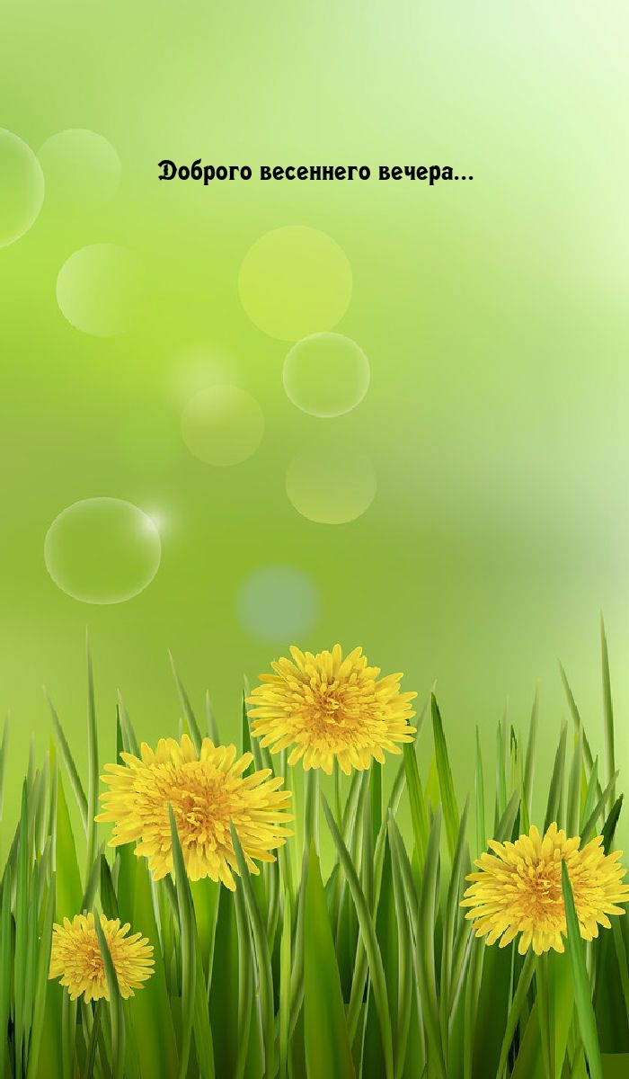 Доброго весеннего вечера...